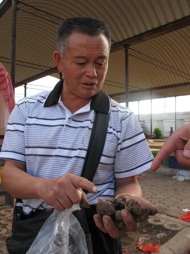 Threat to truffles leaves a bad taste