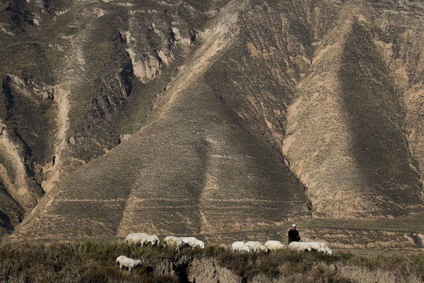 Ningxia residents begin the long climb out of poverty