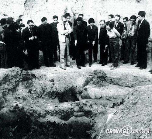 Heads of state show you around Xi'an