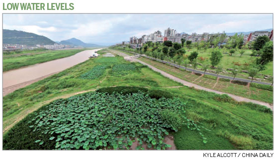 Tree-planting project cleans Yangtze's branches