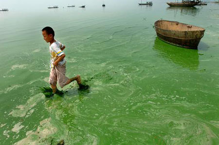 Algae menace to be savior of China's fabric industry