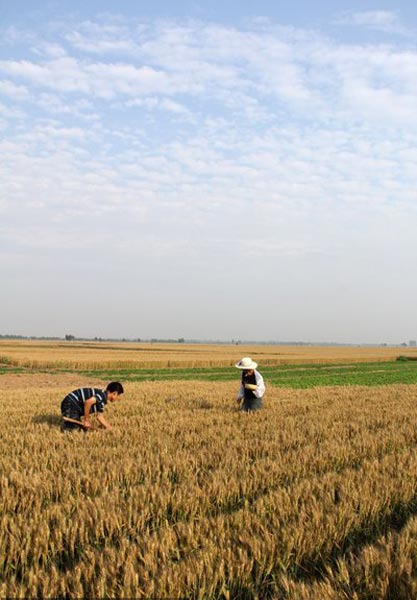 Seeding for a future harvest