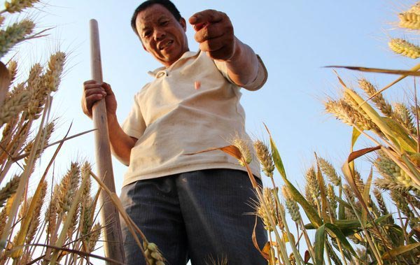 Seeding for a future harvest