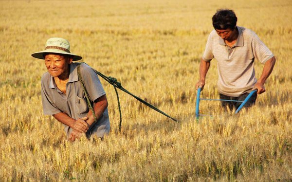 Seeding for a future harvest