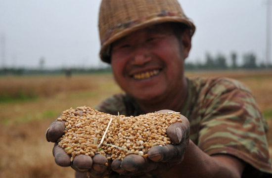 Chinese farmers reaping a harvest