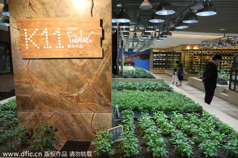 Urban farming in a high-end shopping mall