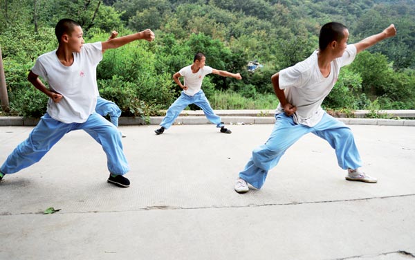 Kung fu helps kick-start careers in assertive way