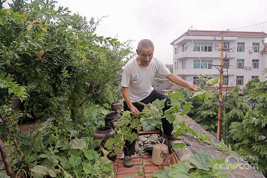 Urban farmers in China