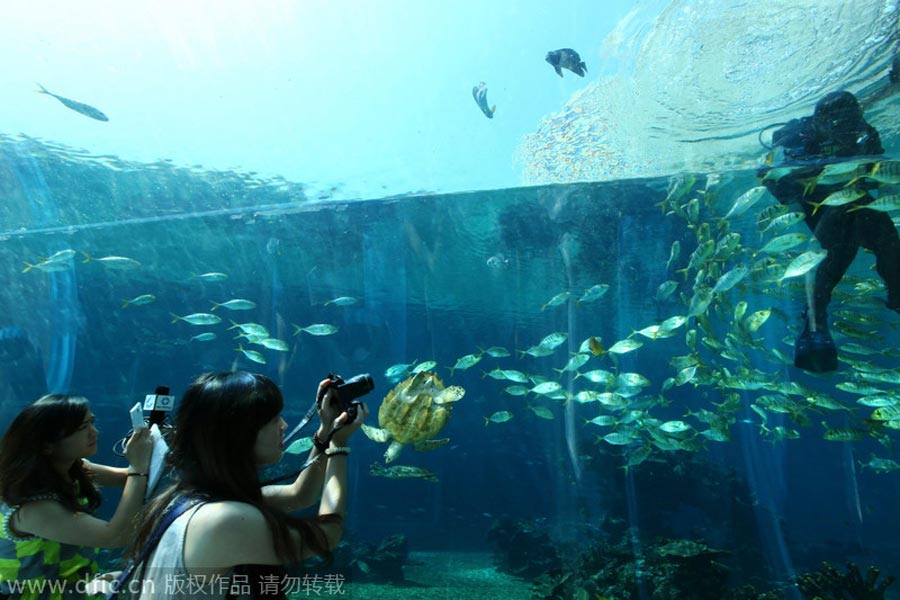 Undersea restaurant opens in Sanya