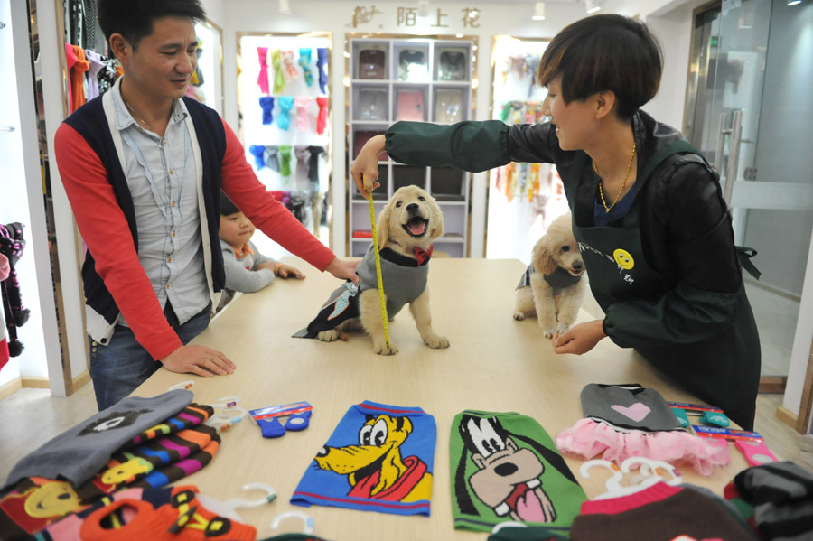 Surge in demand for pet clothes