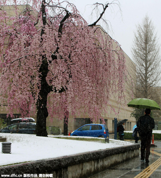 China and Japan likely to discuss AIIB in June: report