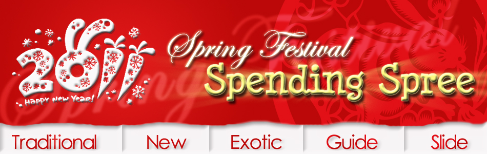 Spring Festival Shopping Spree