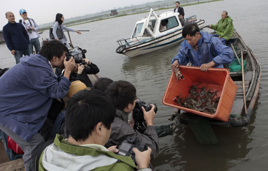 Falsely labeled crabs upset the market