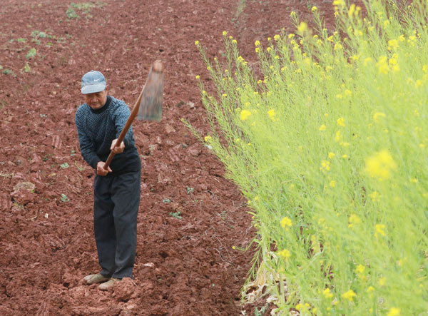 Consequences of long drought devastating