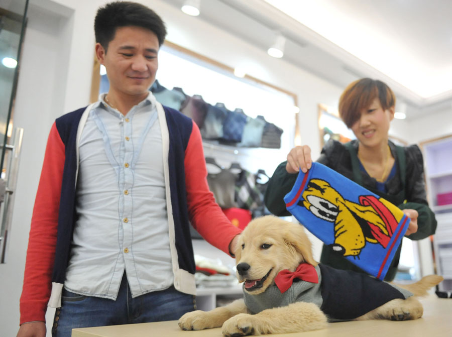 Surge in demand for pet clothes