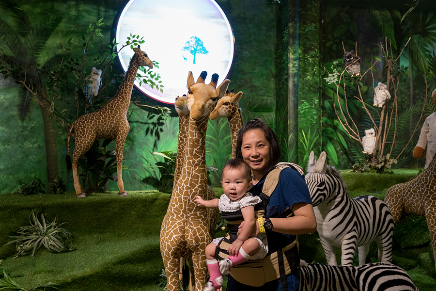 Fun at high-tech indoor theme park