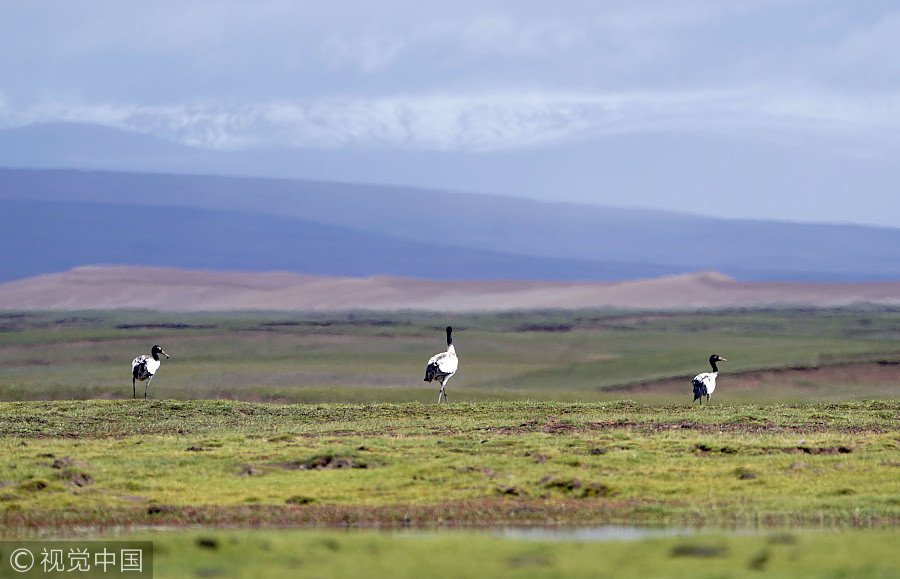 2% of land to be used to protect wildlife, pristine areas