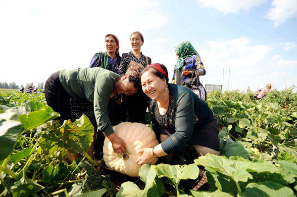 China's rural achievements in the past decade