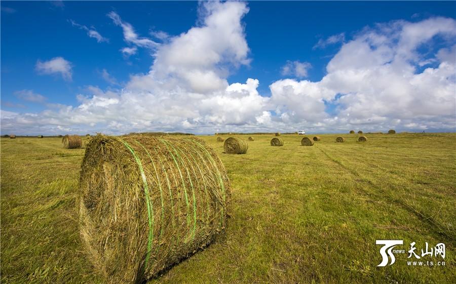 Rolls of grass: a beautiful landscape in Xinjiang