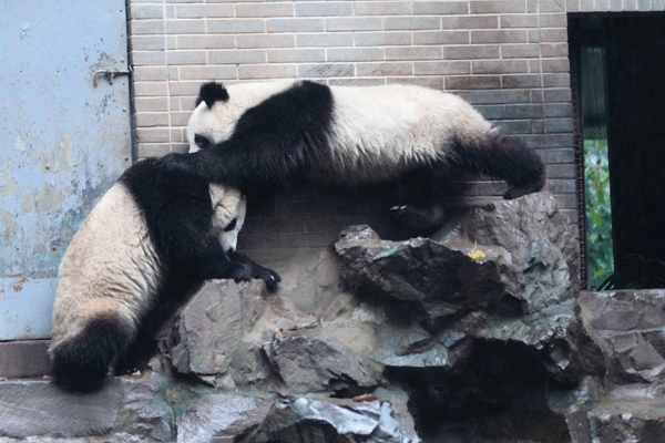 Kung Fu Panda in Hangzhou