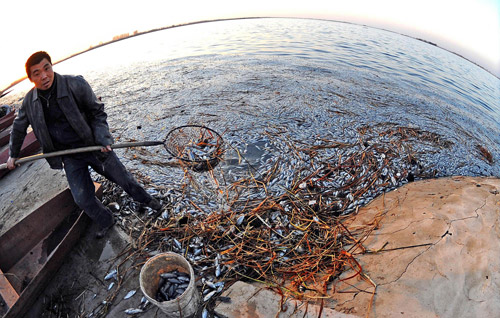 Thousands of dead fish found in contaminated reservoir