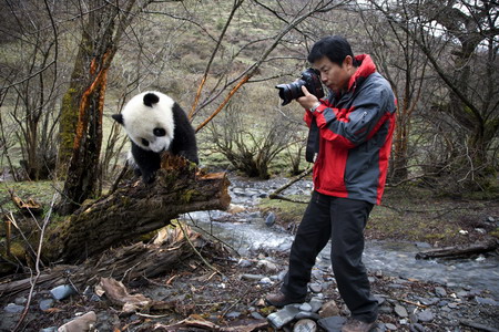 Lights, camera... panda!