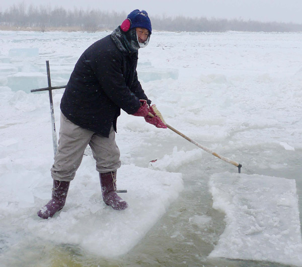 Farmer reaps cool job