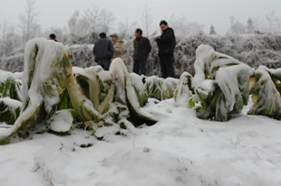 Special: Big freeze hits S China