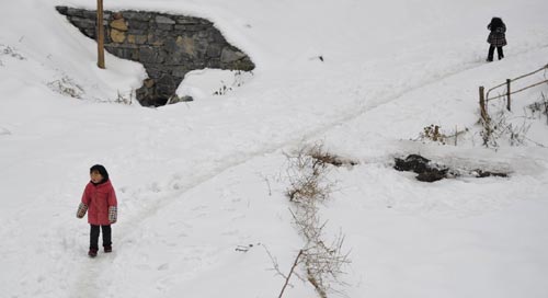 Heavy snow, icy rain wreck havoc in South China