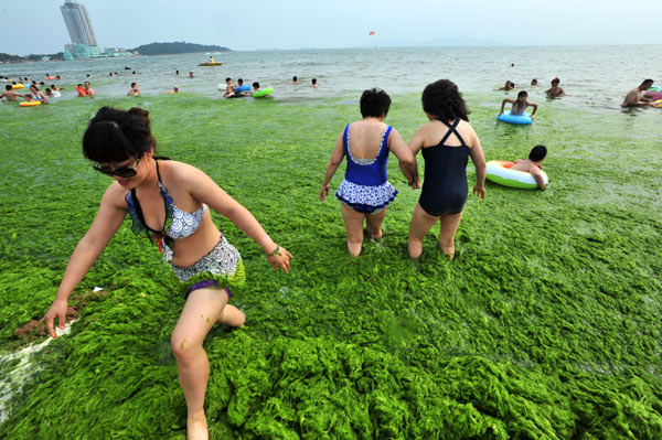 A green headache for E China city