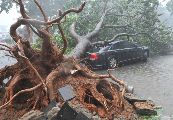 Typhoon Nesat lands in South China