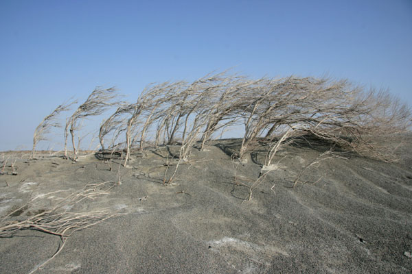 Tide of progress sees water levels fall