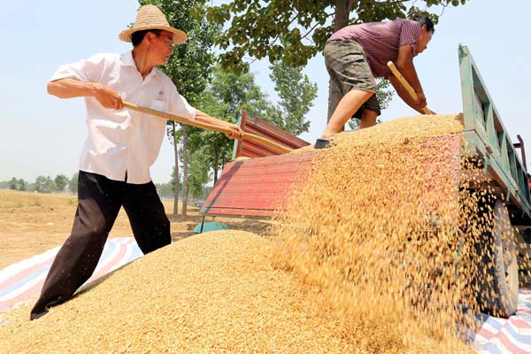 China to maintain food self-sufficiency: report