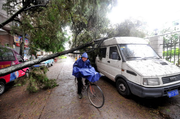 Typhoon Trami makes landfall in East China