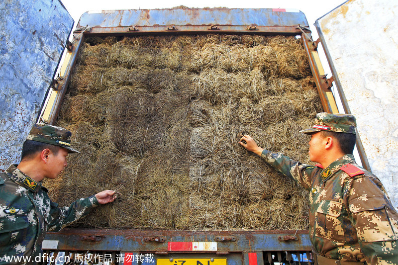 Meth operation lays waste to S China village