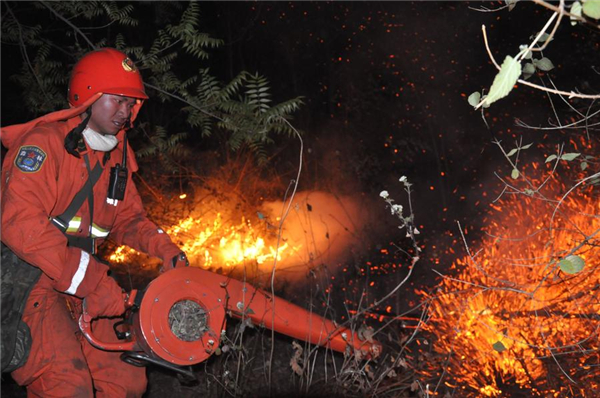 SW China forest fire extinguished