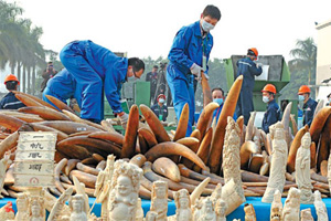 Replica guns seized in Xinjiang