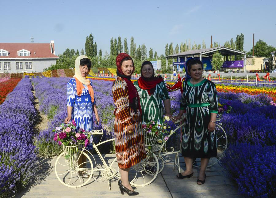 Lavenders blossom in valley of Ili River