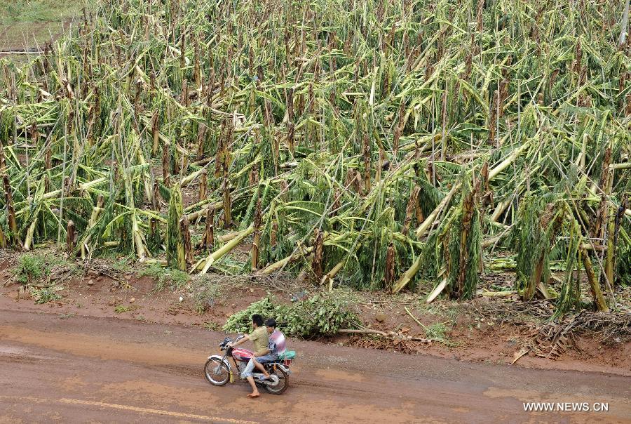 Typhoon Rammasun affects 2.8 m in Guangxi, Guangdong