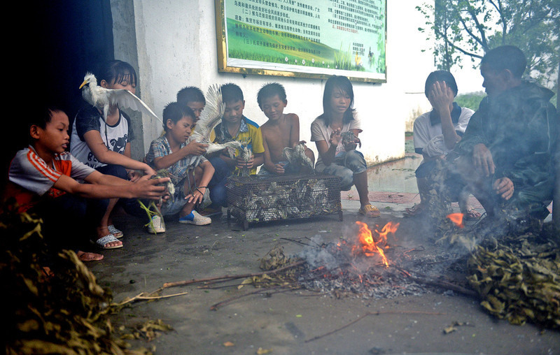 Villagers aid feathered friends