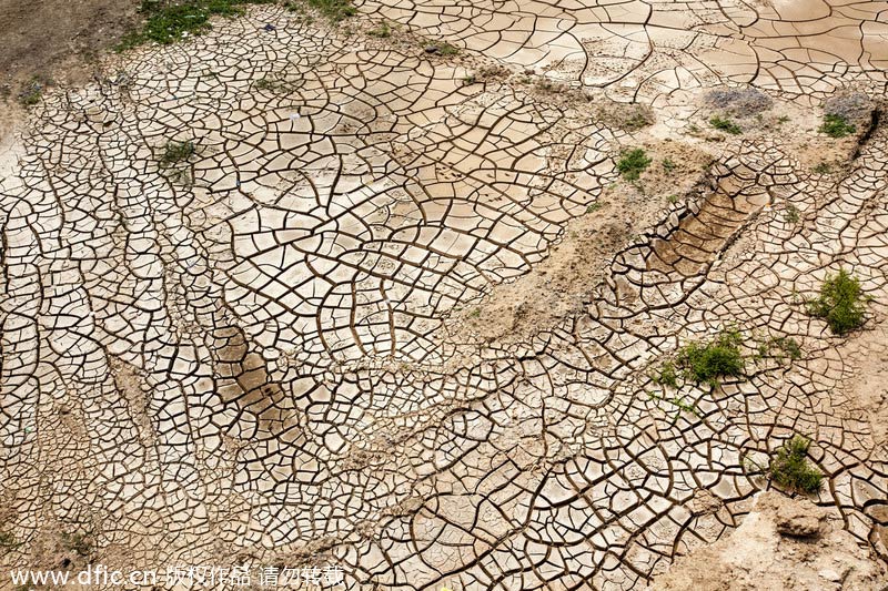 Severe drought hits Central China's Henan province