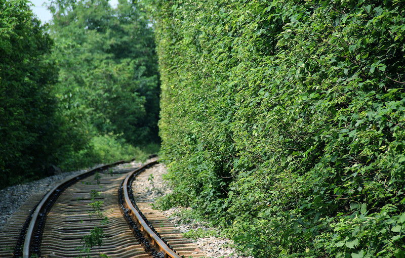 Nanjing 'Love tunnel' on a par with Ukrainian one