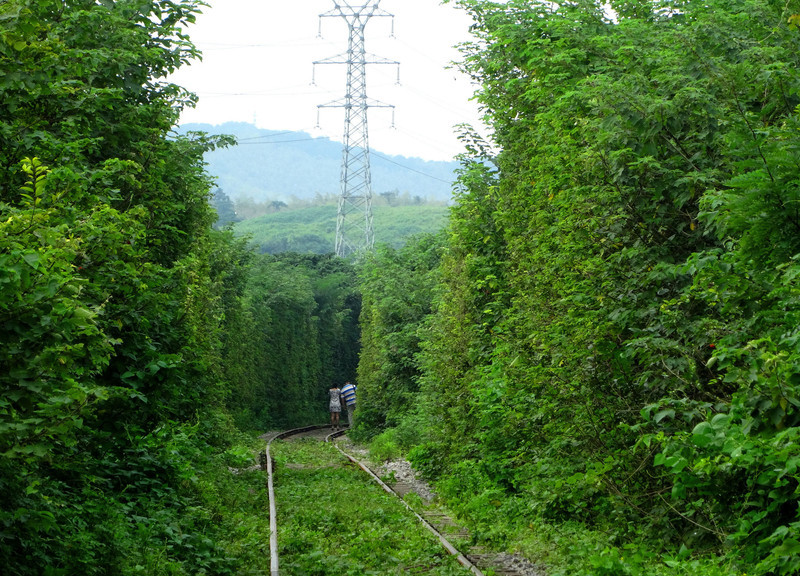 Nanjing 'Love tunnel' on a par with Ukrainian one