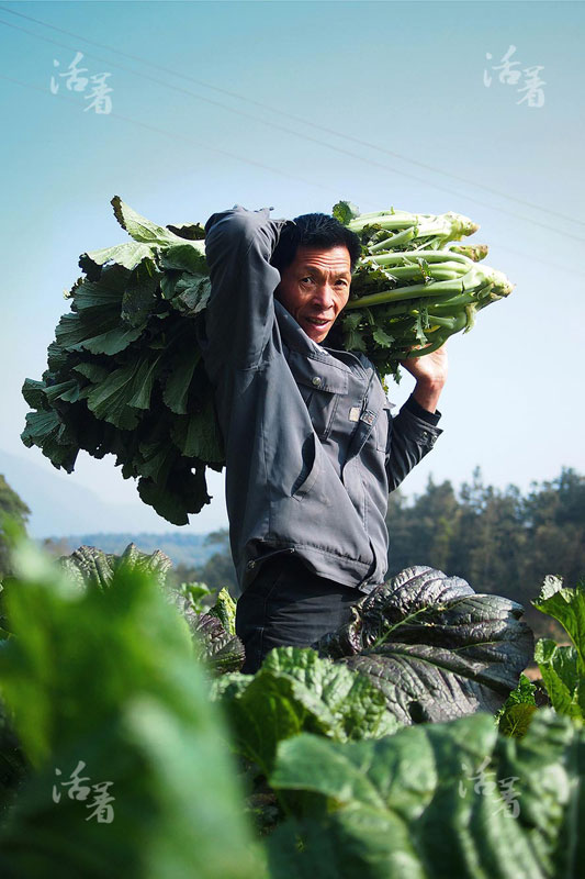 Chinese life, seen through the lens