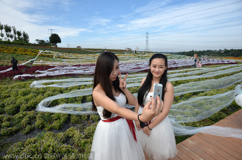 4,100m wedding dress to apply for Guinness book of records