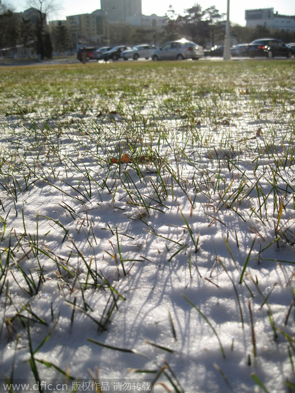 Snowfall makes early visit to North China