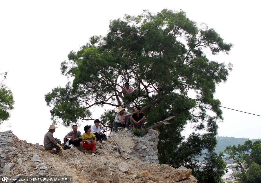 In photos: Group watching