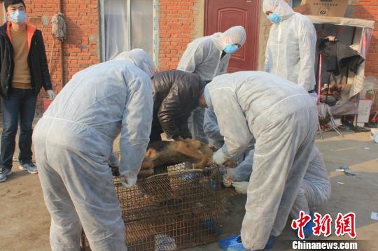 Dog lovers end blockade against dealers in C China