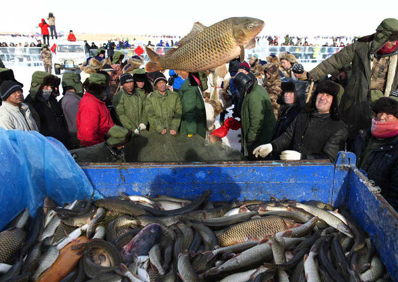 Winter fishing kicks off in NW China's Xinjiang