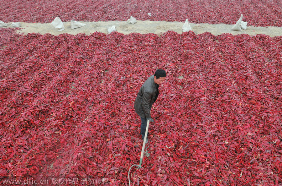 The ancient practice of preserving and drying food